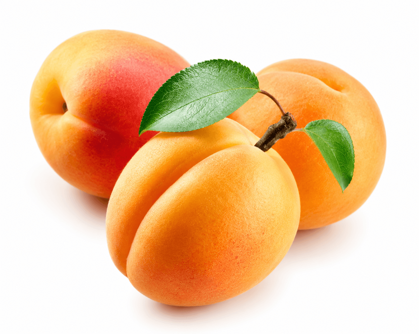 Apricot