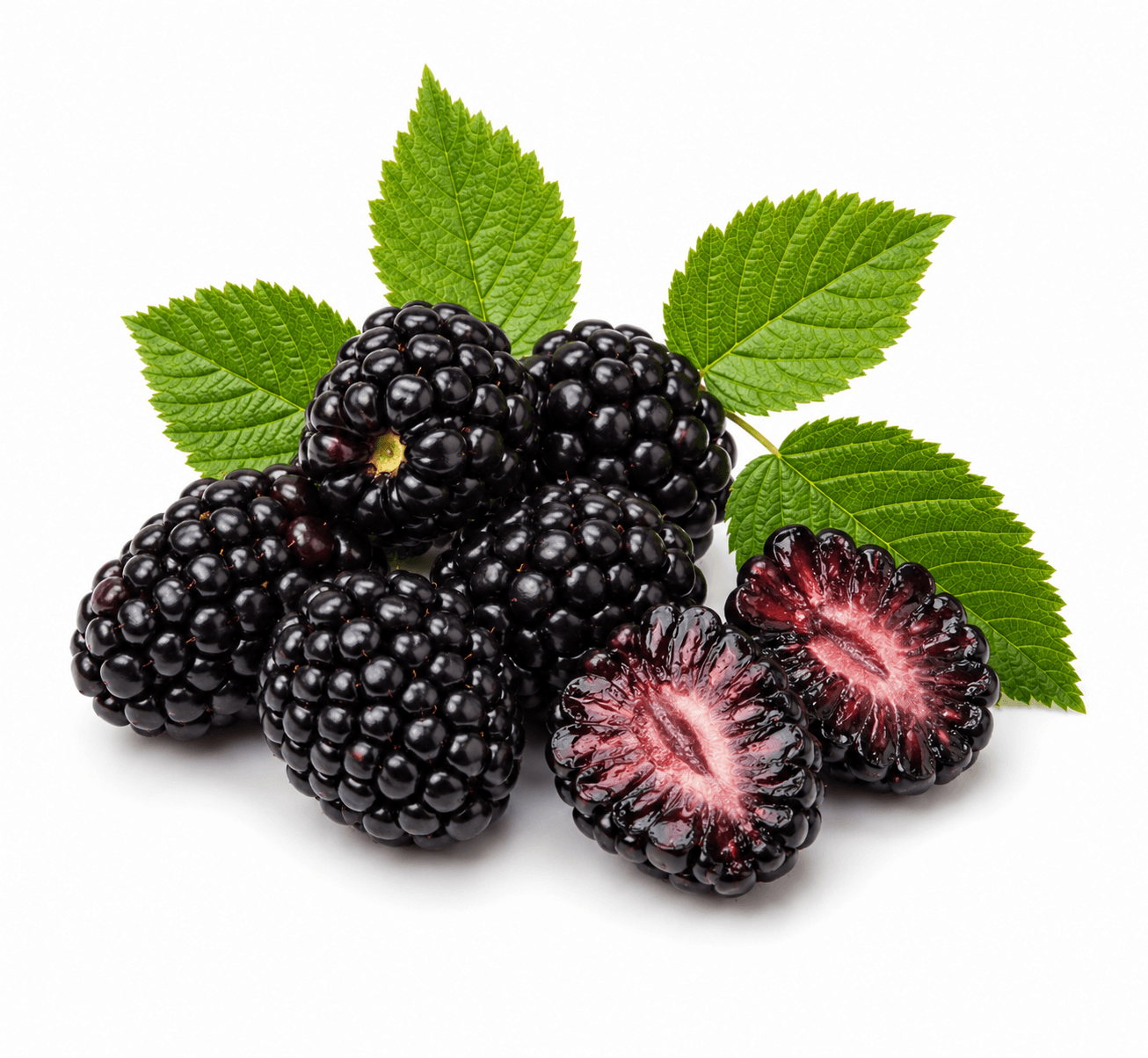Blackberry