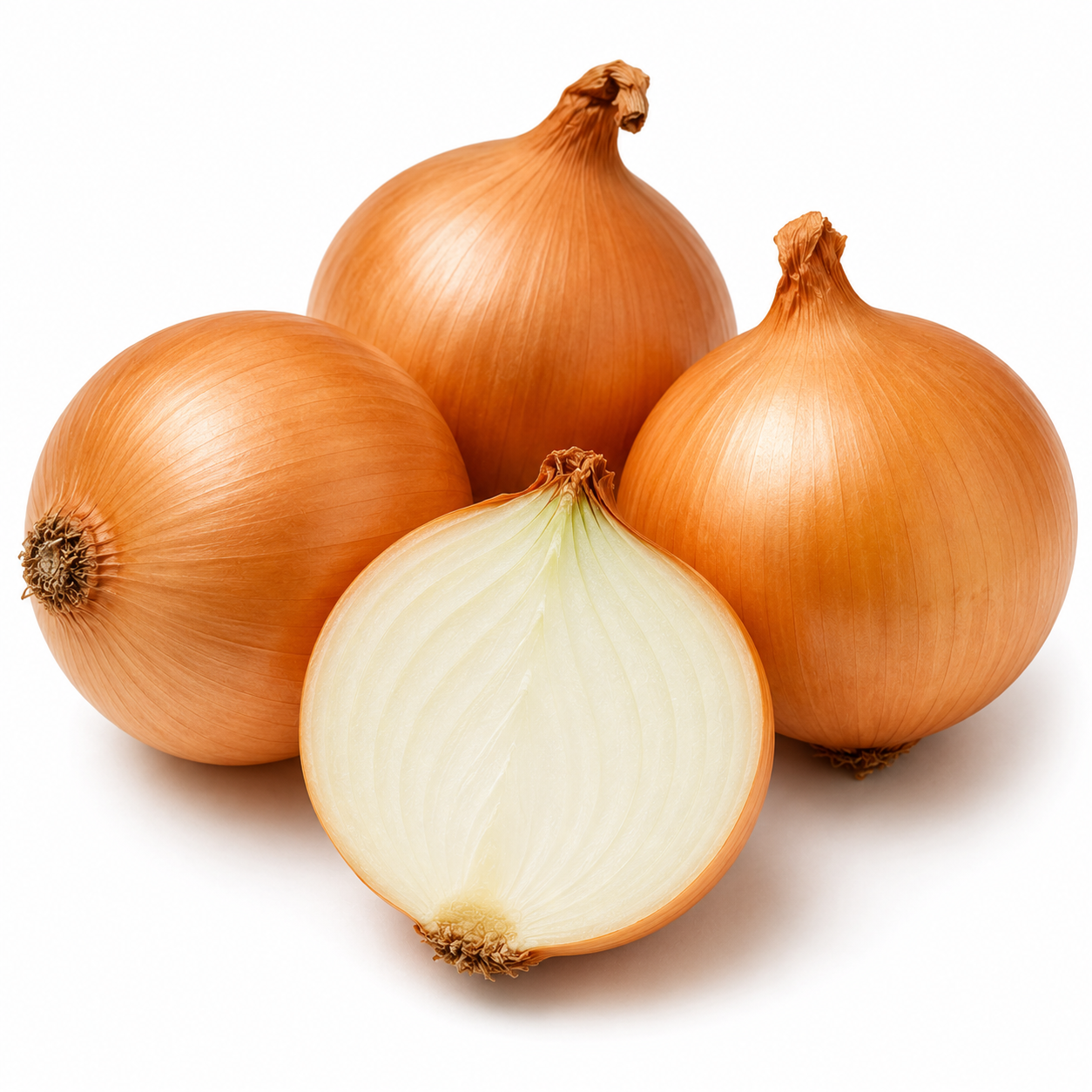 Onion