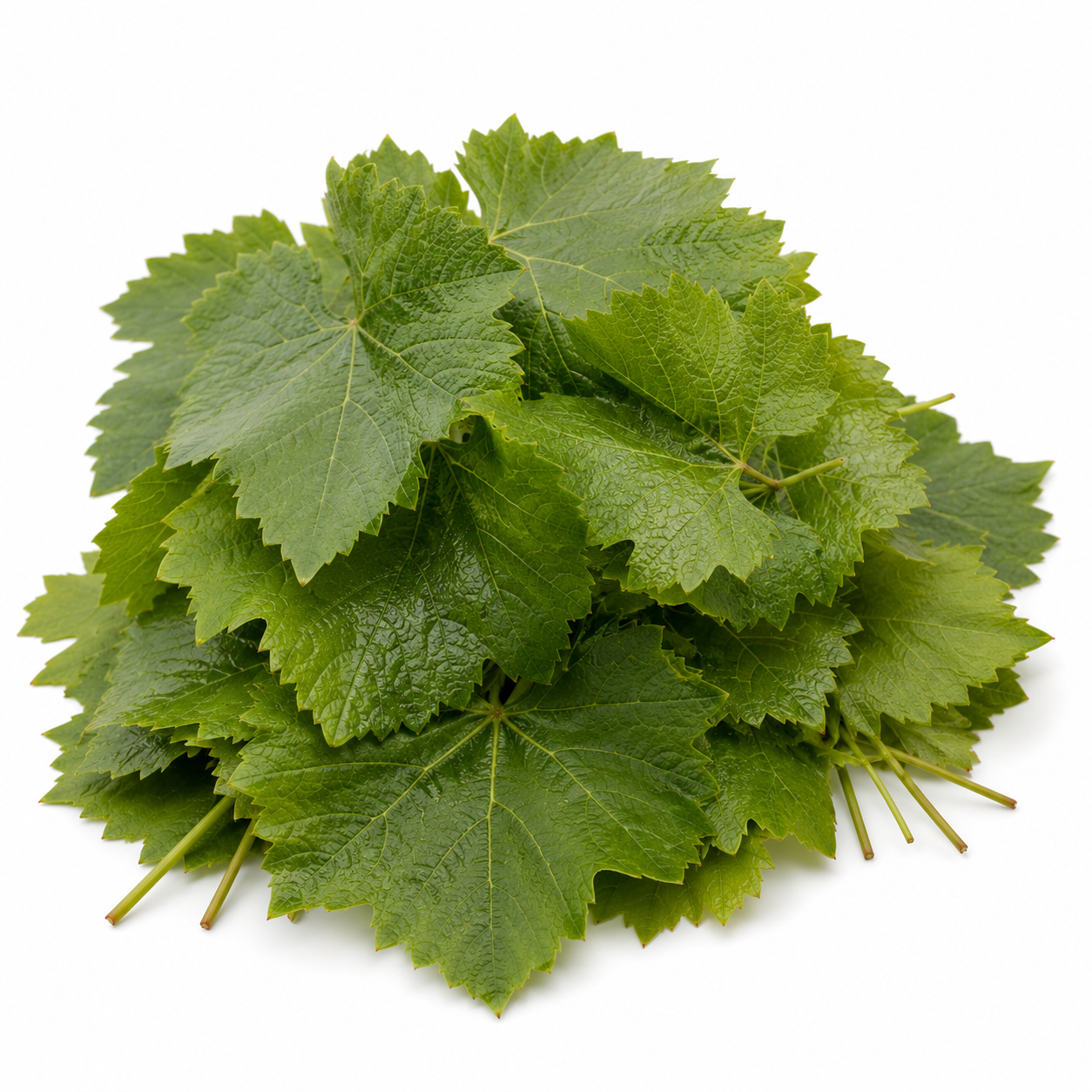 Grape Leaves
