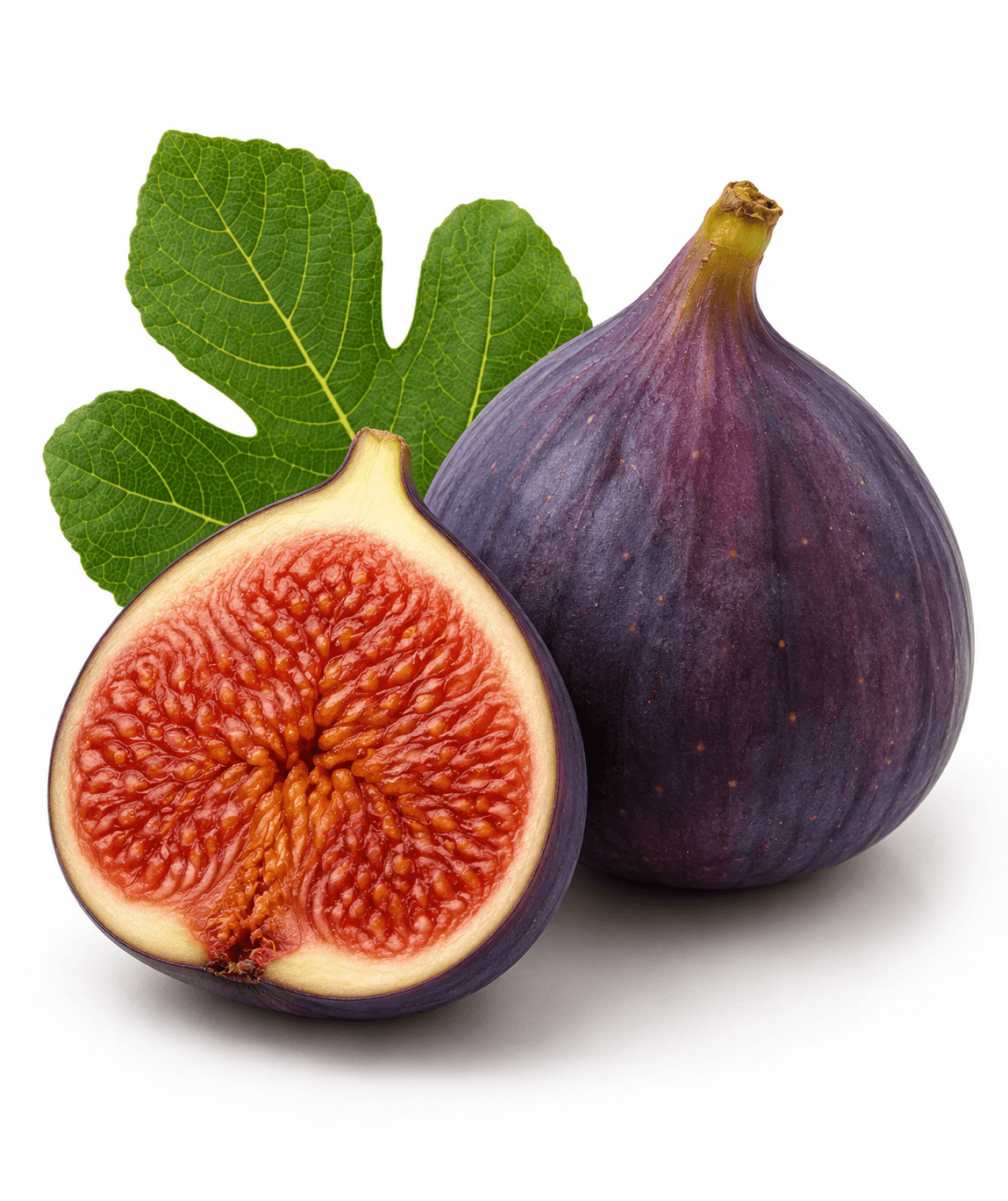 Fig