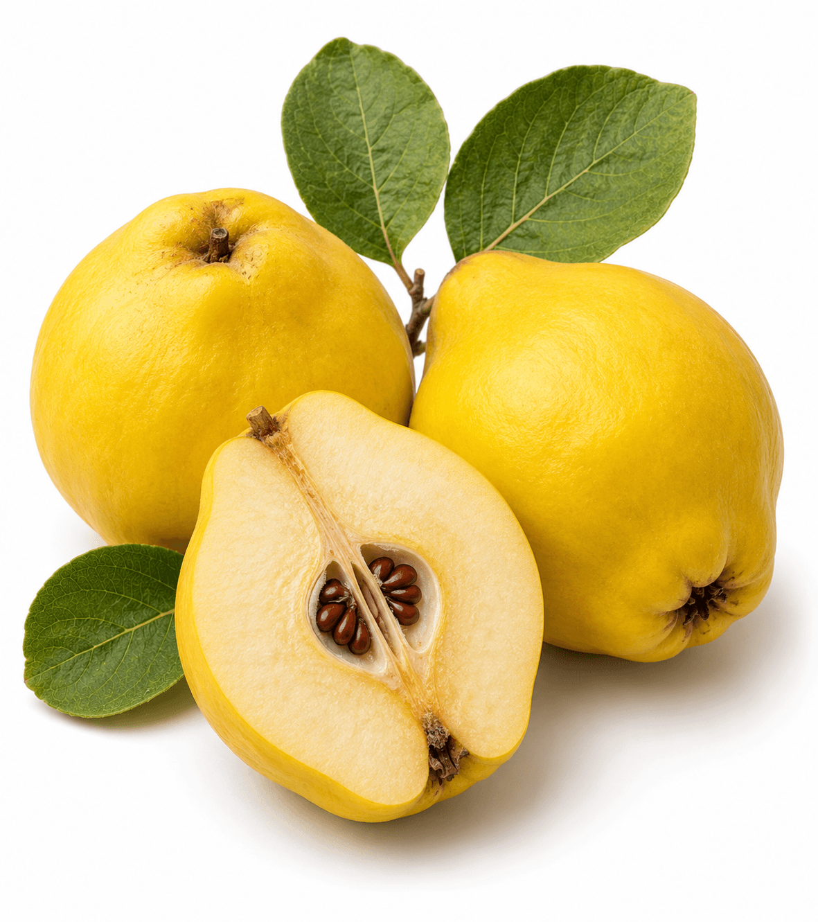 Quince