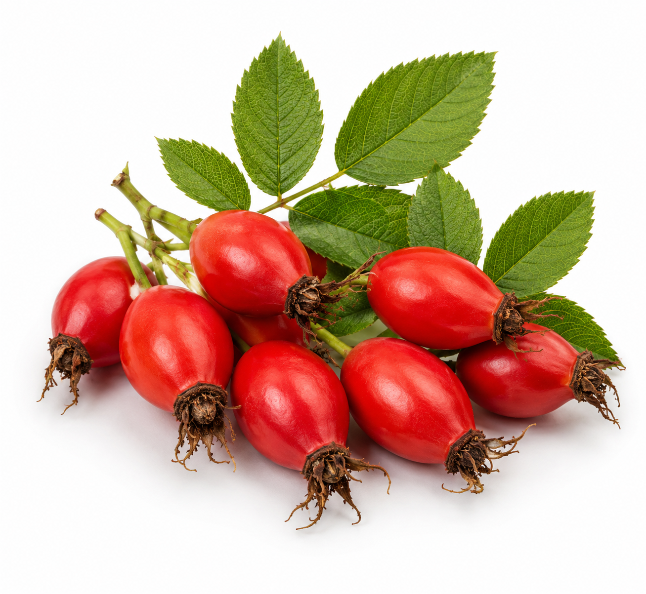 Rosehip