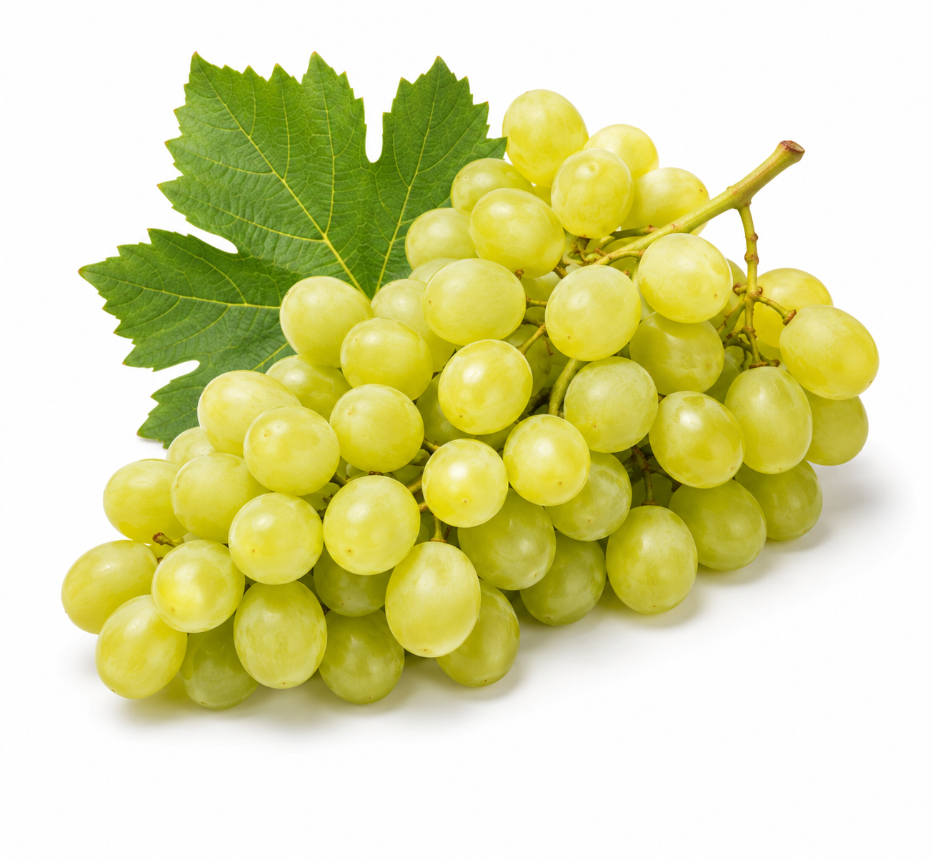 White Grape