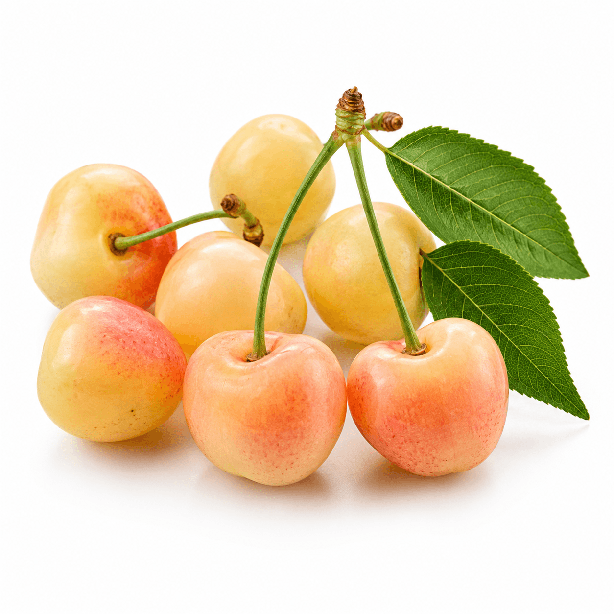 White cherry
