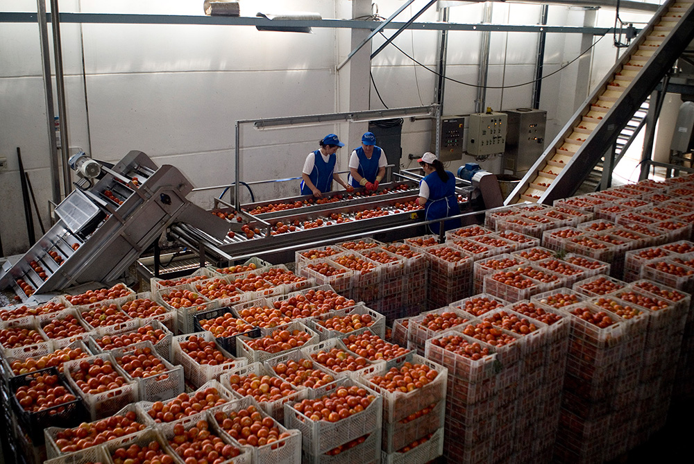 Production